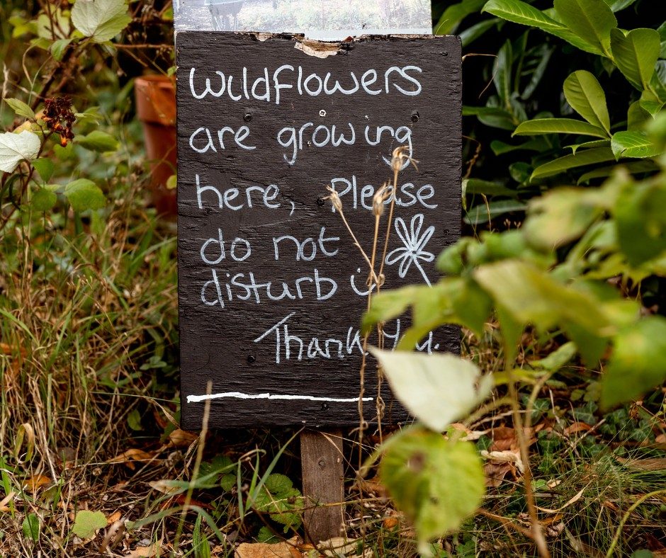 Can you help us win funding for Green Minds?