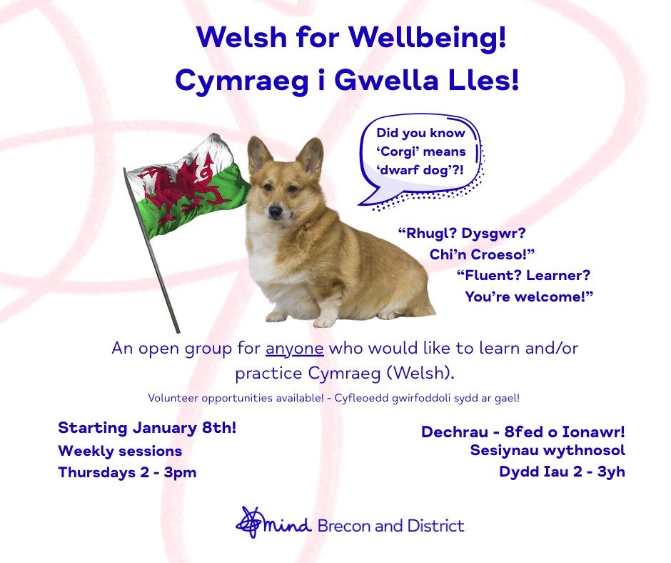 Welsh for Wellbeing: A New Space to Learn, Connect and Celebrate Our Heritage